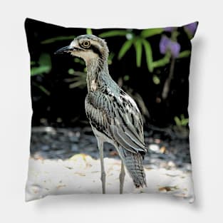 Bush stone curlew Pillow