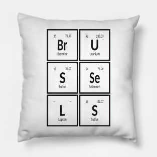 Brussels City of Elements Pillow