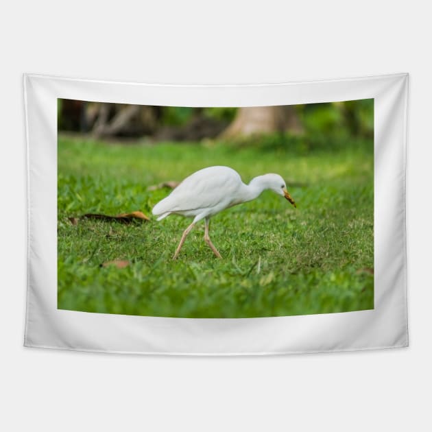 Cattle Egret 2 Tapestry by KensLensDesigns