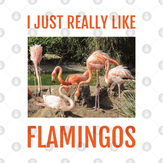 I Just Really Like Flamingos by DPattonPD