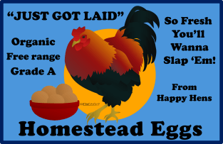 Just got laid!  Eggs Magnet