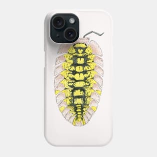 Pyrgoniscus luteus Isopod Phone Case