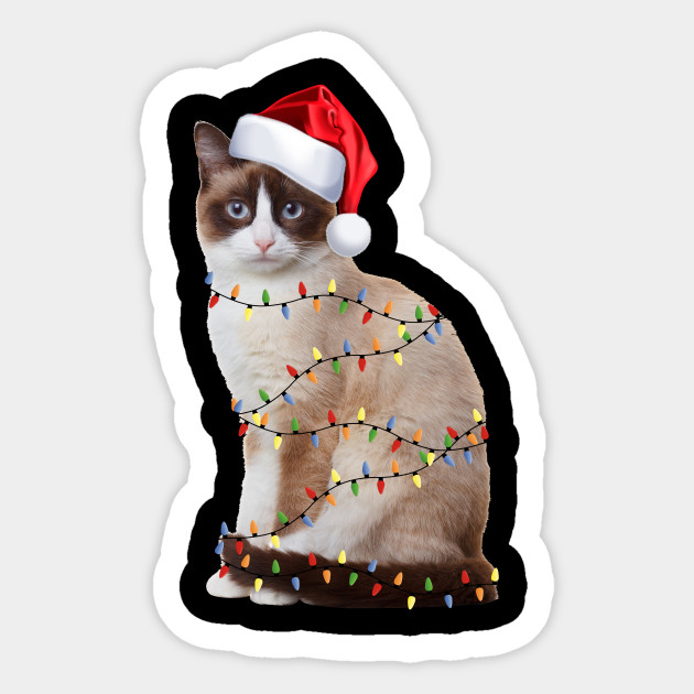 Funny Siamese Cat Christmas Lights Santa Hat Cat Xmas Gifts