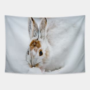 Show Shoe Hare Tapestry