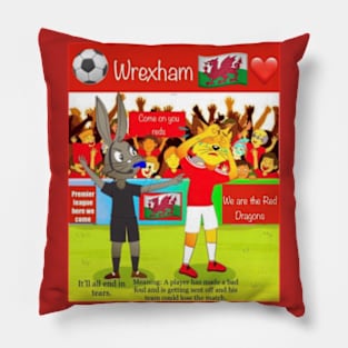 It'll all end in tears, Wrexham funny soccer sayings. Pillow