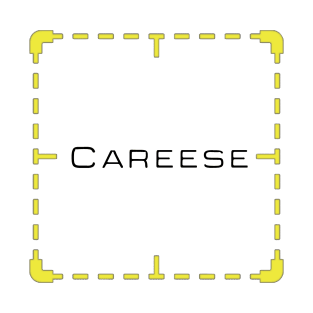 Careese (Person of Interest) T-Shirt