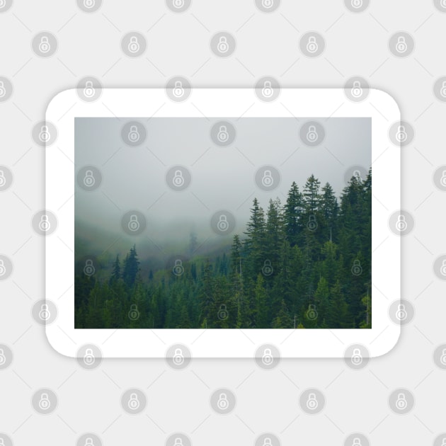 Misty Mountains Magnet by kchase