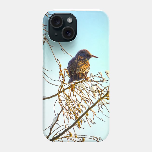 Birds - Sparrow on a Winter Branch Phone Case by SusanSavad