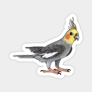 Cockatiel bird Magnet