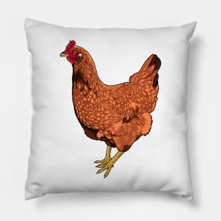 Rhode Island Red Chicken Pillow