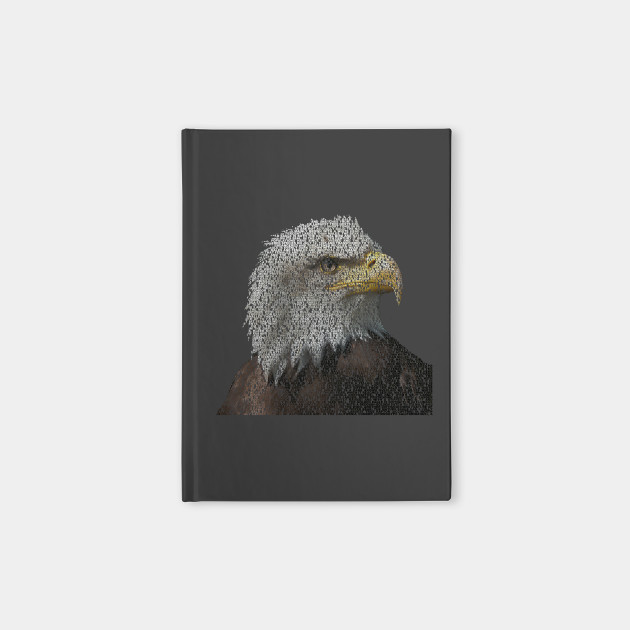 Bald Eagle Info Graphic