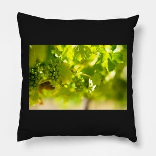 Grapevine Pillow