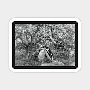 Spring feelings black and white Magnet