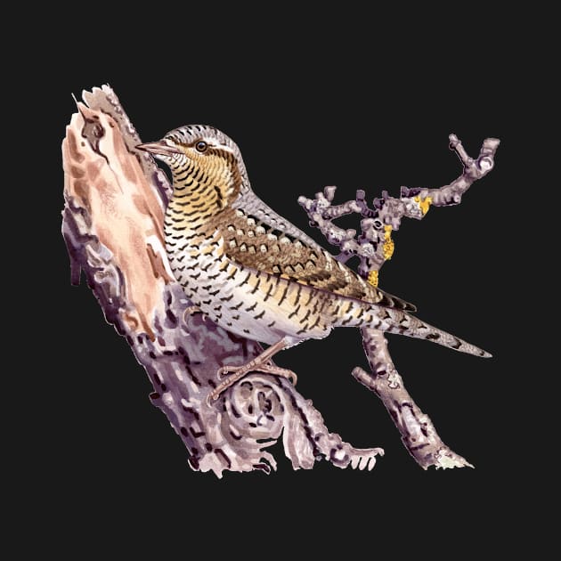 Eurasian wryneck by kokayart