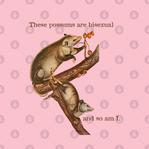 These Possums Are Bisexual and So Am I by cobwebjr