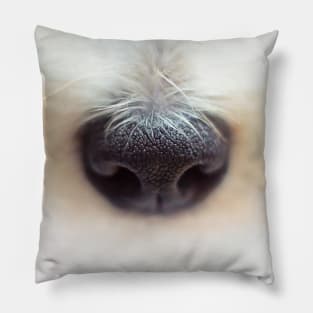 doggo nose mask and more! Pillow