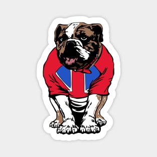 Matilda - British Bulldogs Magnet