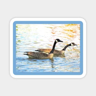 Canada Geese Pair No.4 Magnet