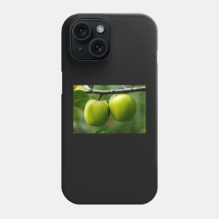 Green apples on branch Phone Case