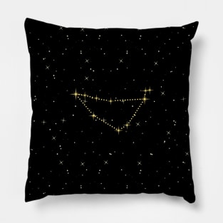 Capricorn Star Constellation Pillow