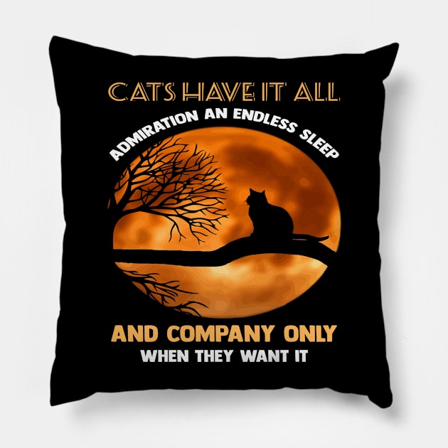 Cats have it all admiration an endless sleep and company only when they want it Pillow by Aprilgirls