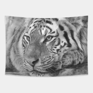 Easy Tiger Tapestry