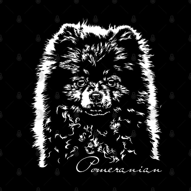 Pomeranian cute dog portrait by wilsigns