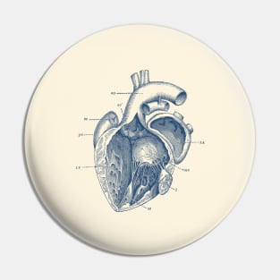 Internal Human Heart Diagram - Anatomy Poster Pin