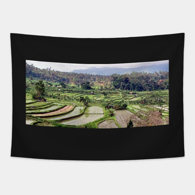 Rice fields, Amlapura, Bali, Indonesia Tapestry by Kirkcov