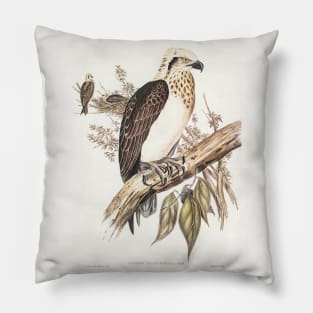 White-headed Osprey Pillow