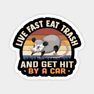 Live Fast Eat Trash And Get Hit By A Car Magnet