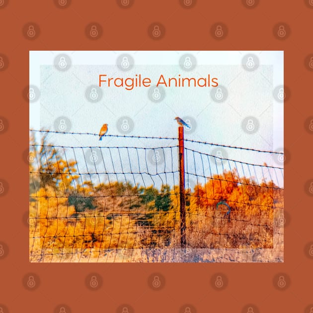 FRAGILE ANIMALS by Noah Monroe