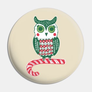 Hope your Holidays are a Hoot! Pin