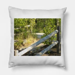 White Mountains, Lower Falls, Kancamangus Highway,New Hampshire, US Pillow