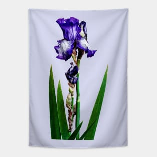 Irises - Lovely Purple Iris Tapestry