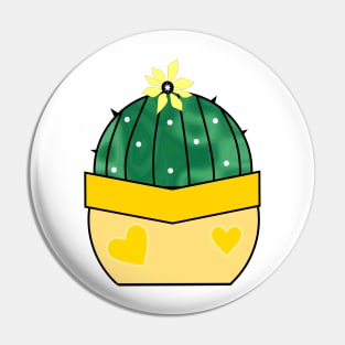 Cute Round Cactus Pin