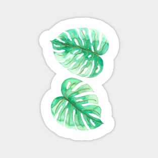 Monstera leaves Magnet