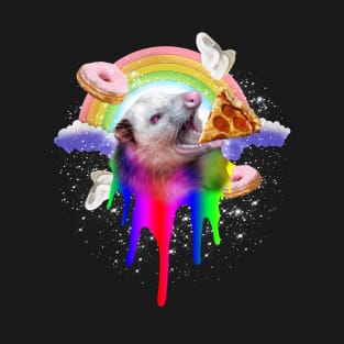 Rainbow Possum T-Shirt