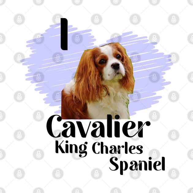 Cavalier King Charles Spaniel by Carolina Cabreira