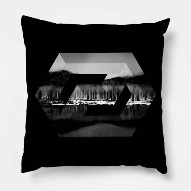 Impossible Geometry and Nature Pillow by ddtk