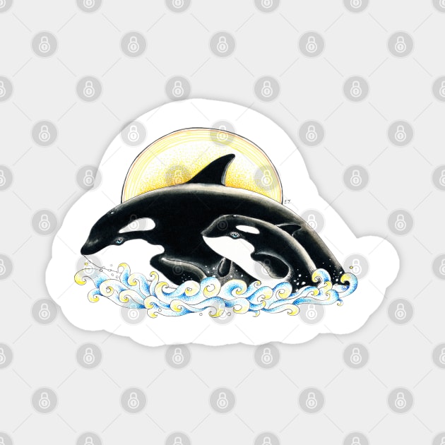 Orca Killer Whales Family Ink Drawing Magnet by Seven Sirens Studios