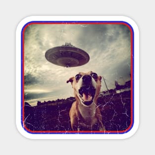 Run for the Hills! Stressed Dog Chased by UFO Magnet