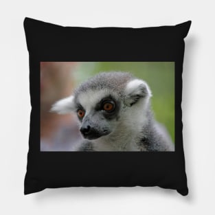 Ring-Tailed Lemur 2 Pillow