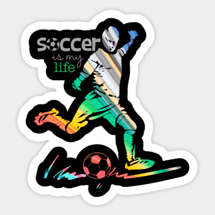 Vintage Saint Louis Stars Soccer Sticker for Sale by SimonAllen