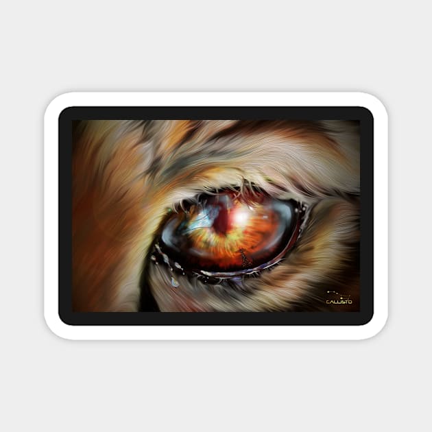 TIGER-EYE Magnet by CALLISTOARTS