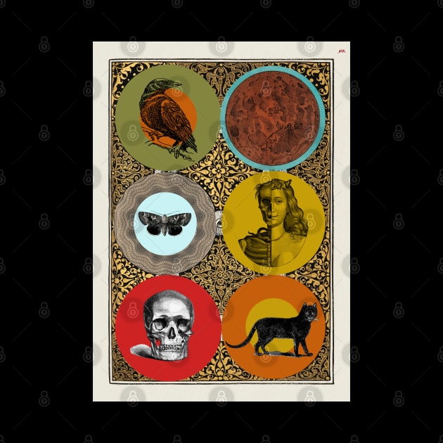 Halloween Omens, Signs, Symbols, and Portents. Skull, Moon, Black Cat, Mask, Memento Mori, Moth, Crow. by SwagOMart