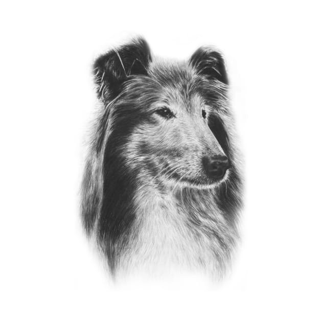 Rough Collie Dog by WickedIllusion