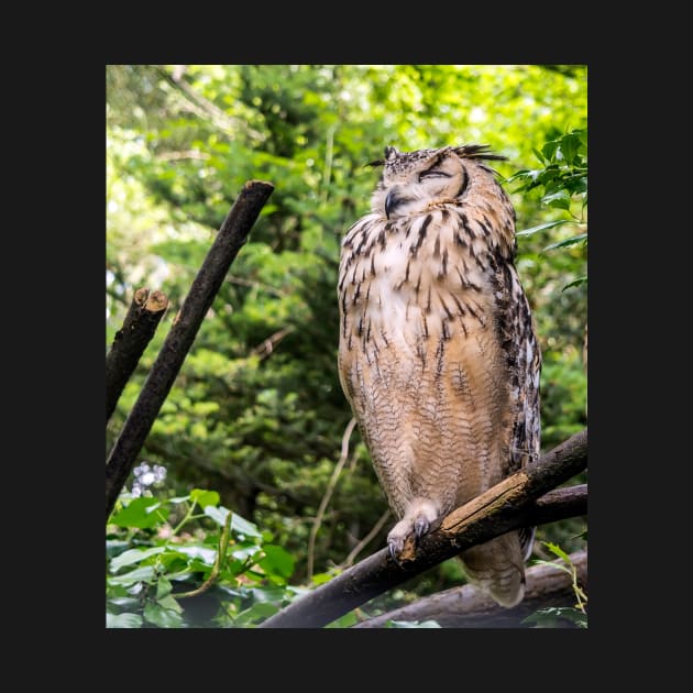 Indian eagle-owl by lena-maximova