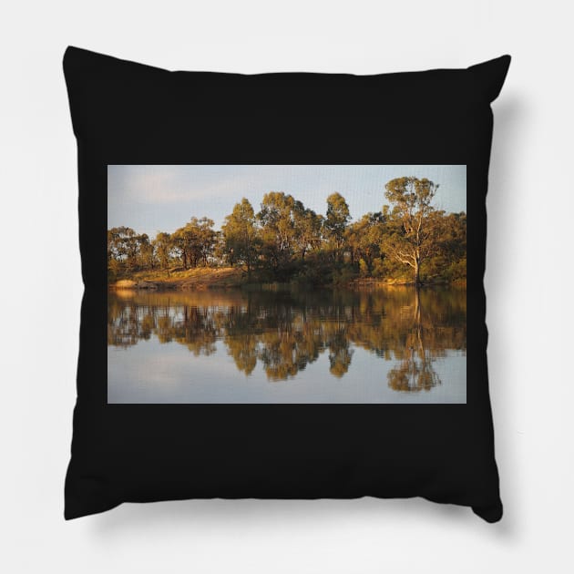 River Murray Reflections #2 Pillow by Carole-Anne