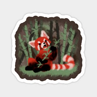 Red Panda Magnet